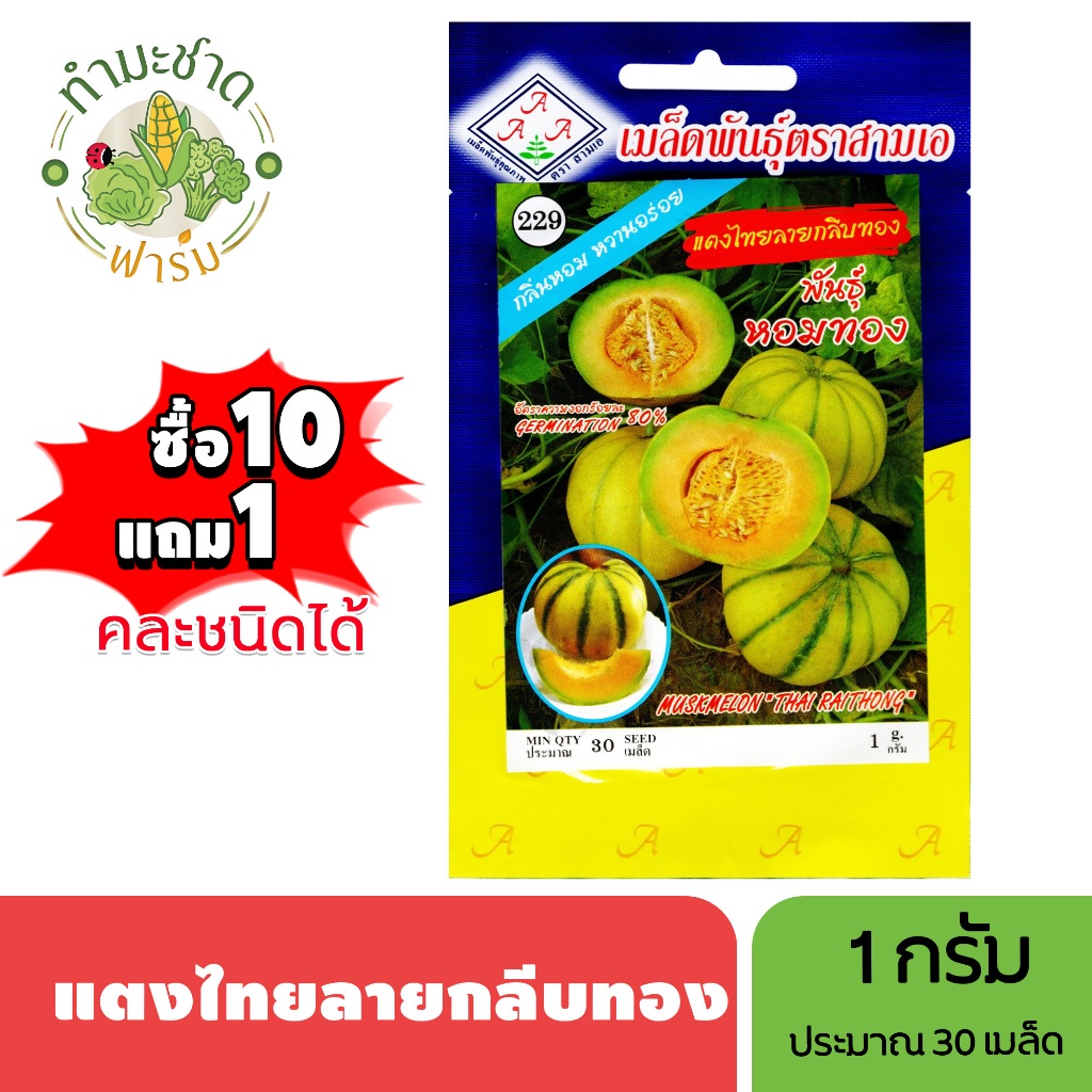 3A (ซื้อ10แถม1) เมล็ดพันธุ์ แตงไทยลายกลีบทอง ขนาด1กรัม ประมาณ 30 เมล็ด MUSKMELON THAI RAITHONG แตงไทยลาย เมล็ดพันธุ์พืช