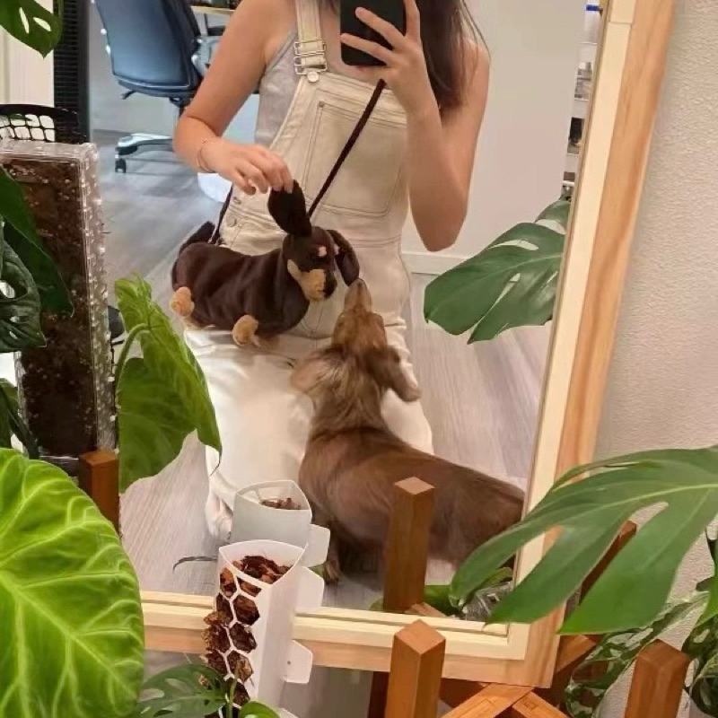 พร้อมส่ง🐶กระเป๋า หมาไส้กรอก Dachshund หมาดัชชุน ตุ๊กตาหมา กระเป๋าน่ารัก bag ของขวัญ ของแต่งบ้าน พร็อบถ่ายรูป 04048 - รูปที่ 7