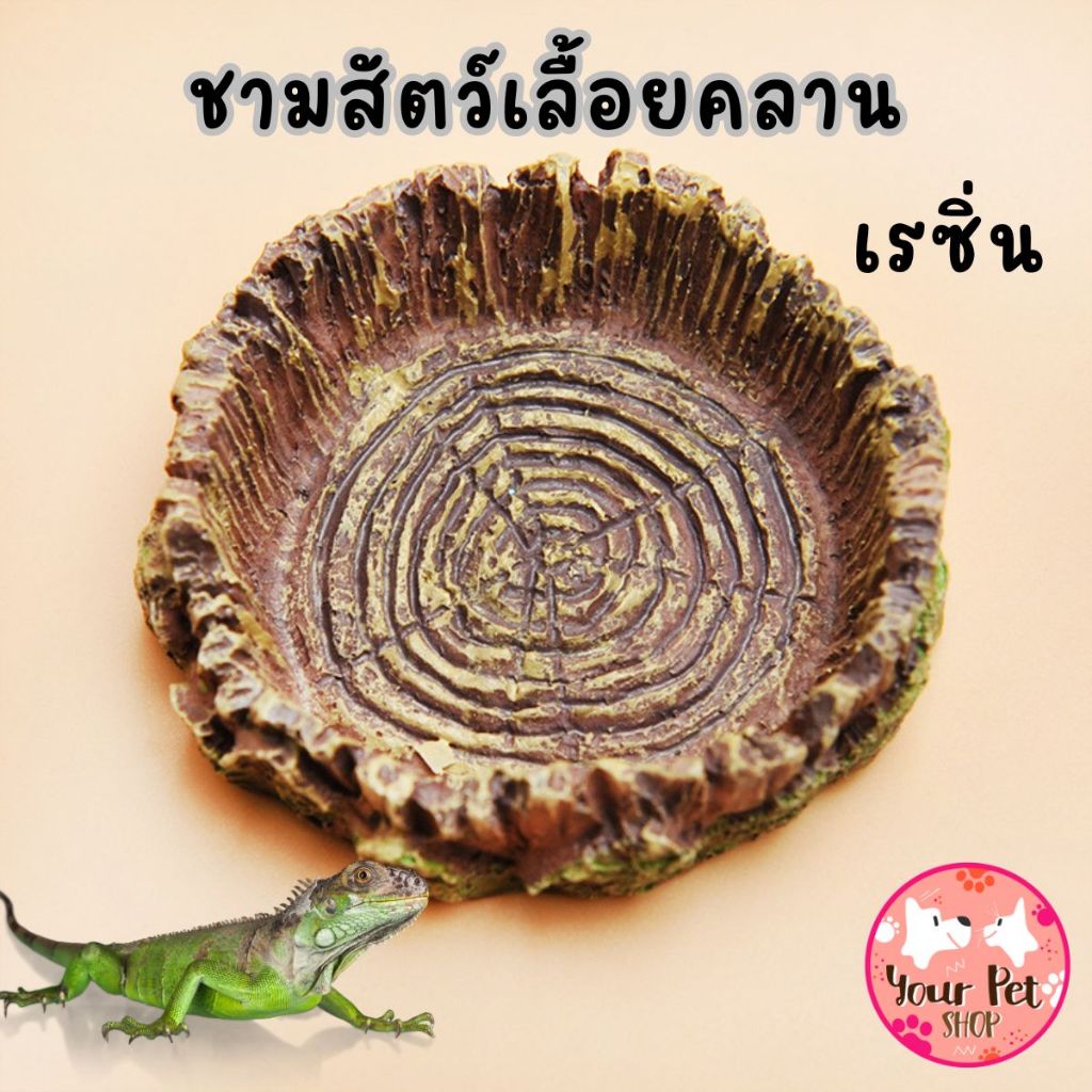 ชามอาหารเรซิ่นสัตว์เลื้อยคลาน กิ้งก่า ตุ๊กแก จาน Lizard 7x2cm