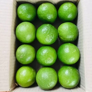 มะนาวไร้เม็ดปลอดสาร แพ็คละ12ลูก(Limes, tablets, free from substances, 12 pieces per pack)
