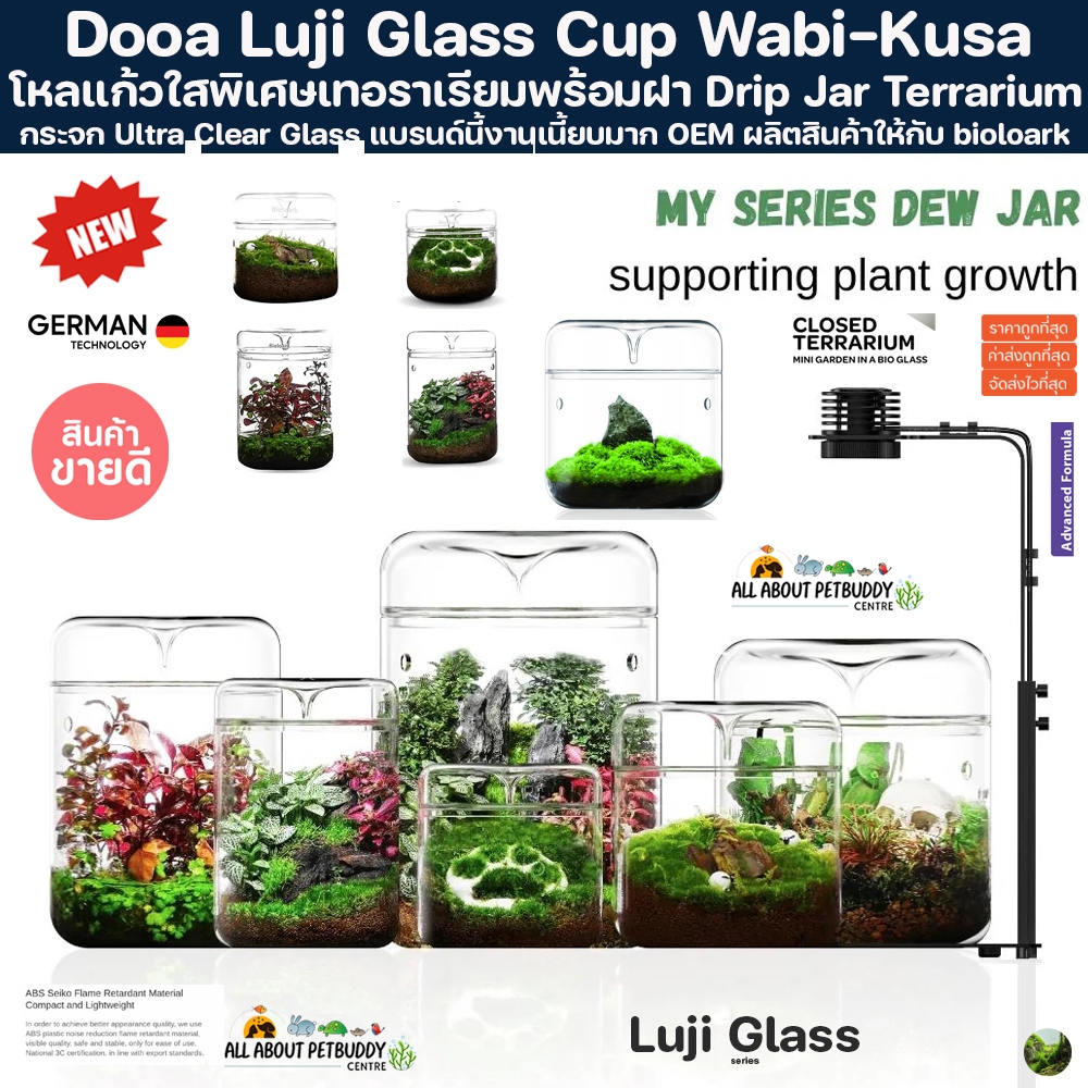 Dooa Luji Glass Cup Terrarium โหลจัดสวนขวด โหลเทอราเรียม โหลปลูกต้นไม้ bioloark โหลแก้ว ไม้ชื้น glass pot ใบโอลาค ไม้น้ำ