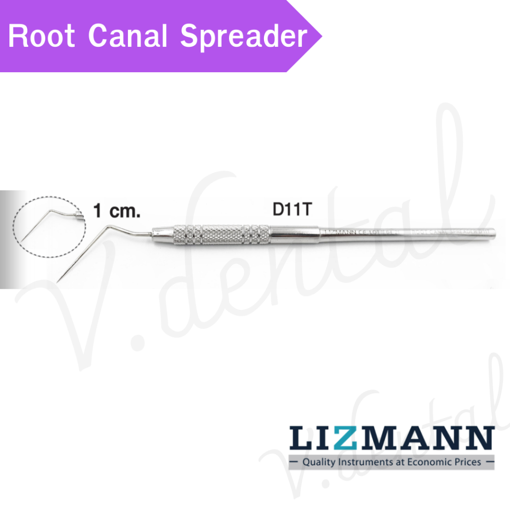 D11T Root Canal Spreader พร้อมส่ง ยี้ห้อ lizmann คุณภาพดี
