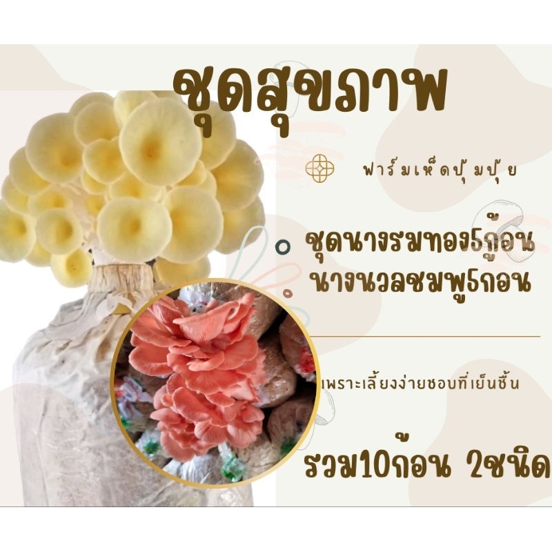 ชุดเชตสุขภาพ 2 ชนิด 10 ก้อน รมทอง5  ชมพู5