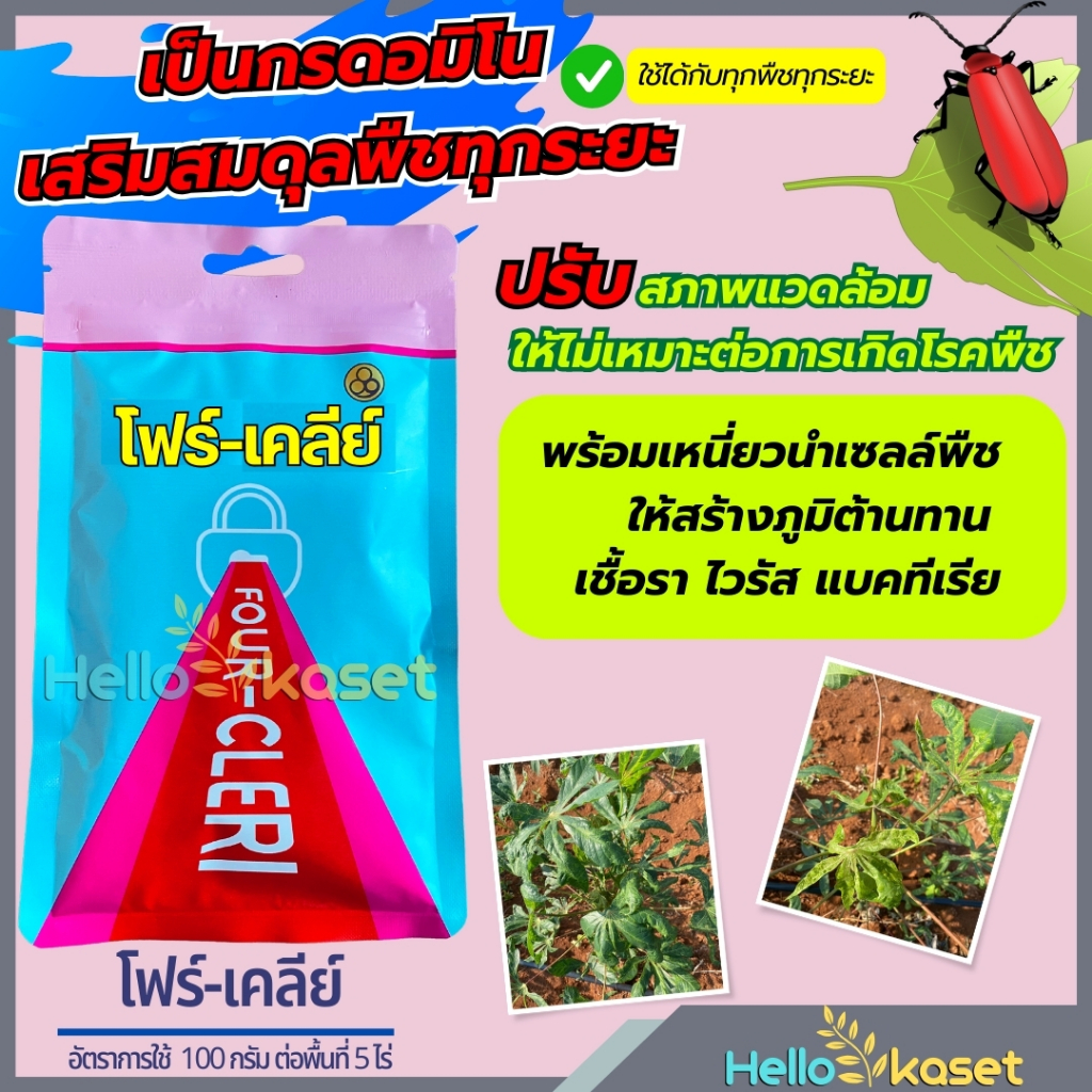 โฟร์-เคลีย์ สารป้องกันกำจัดโรคพืช ขนาด 100 กรัม สร้างภูมิป้องกันไวรัส  สร้างภูมิคุ้มกันเชื้อรา