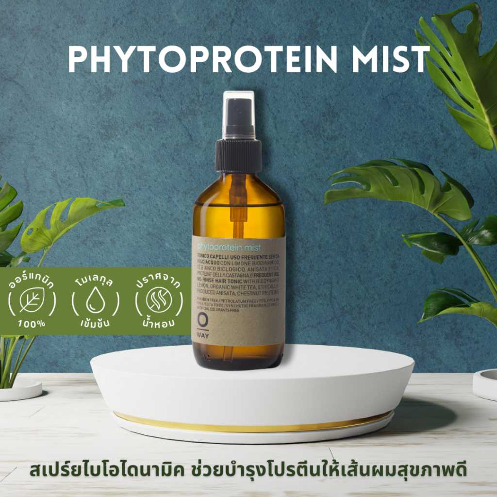 OWAY PHYTOPROTEIN MIST ORGANIC BIODINAMIC สเปร์ยฉีดแล้วหวีง่ายไม่พันกัน บำรุงเส้นผม