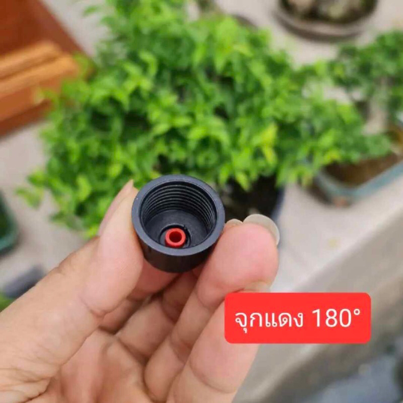 หัวสเปรย์ทางเดียว 180 องศา กับ 90 องศา 100 ตัว 120 บาทเท่านั้น - รูปที่ 3