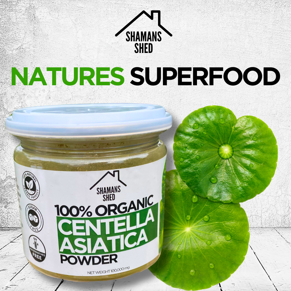 Centella Asiatica Powder - 100% Organic - Gotu Kola - Herbal Superfood - ผงต้นแบบผัก ออแกนิค