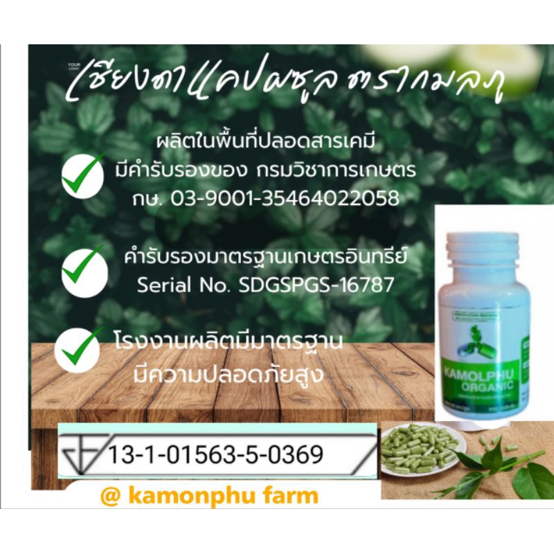 🌿ผักเชียงดาออร์แกนิค ของแท้ ขนาด 500มก.💥 มี อย.160 แคปซูล 4 เชต ส่งฟรี📣 - รูปที่ 2