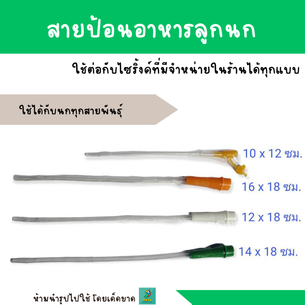 สายป้อนอาหารลูกนก ใช้ได้กับนกทุกสายพันธุ์