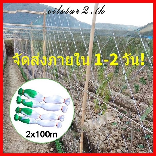 ค้างปลูกผัก ค้างผัก 2x100 ตาข่ายปลูกผัก อวนแตง