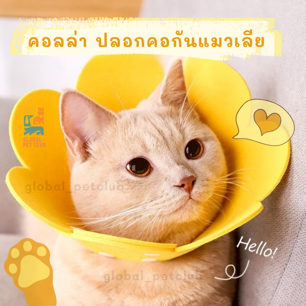 ปลอกคอกันแมว คอลล่าแมว ลำโพงแมว ปรับได้ 2 ระดับ วัสดุนุ่ม สวมใส่แล้วยังสามารถกินข้าวได้ สีพาสเทล