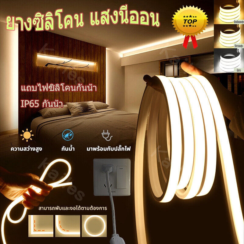 LED ด้วยกันน้ำ 220V, ป้องกันอัคคีภัย, อุปกรณ์ตกแต่งห้องจัดงานจัดงานแต่งงาน 10 // 20/30/50 ม. LED LAD ไฟ