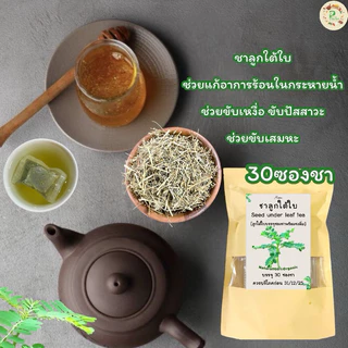 ชาลูกใต้ใบ บรรจุ 30 ซองชา Seed under leaf Tea เครื่องดื่มสมุนไพรชนิดชงดื่มแบบซองชา ชาลูกใต้ใบรสชาติดี ดื่มง่าย ไม่ขม