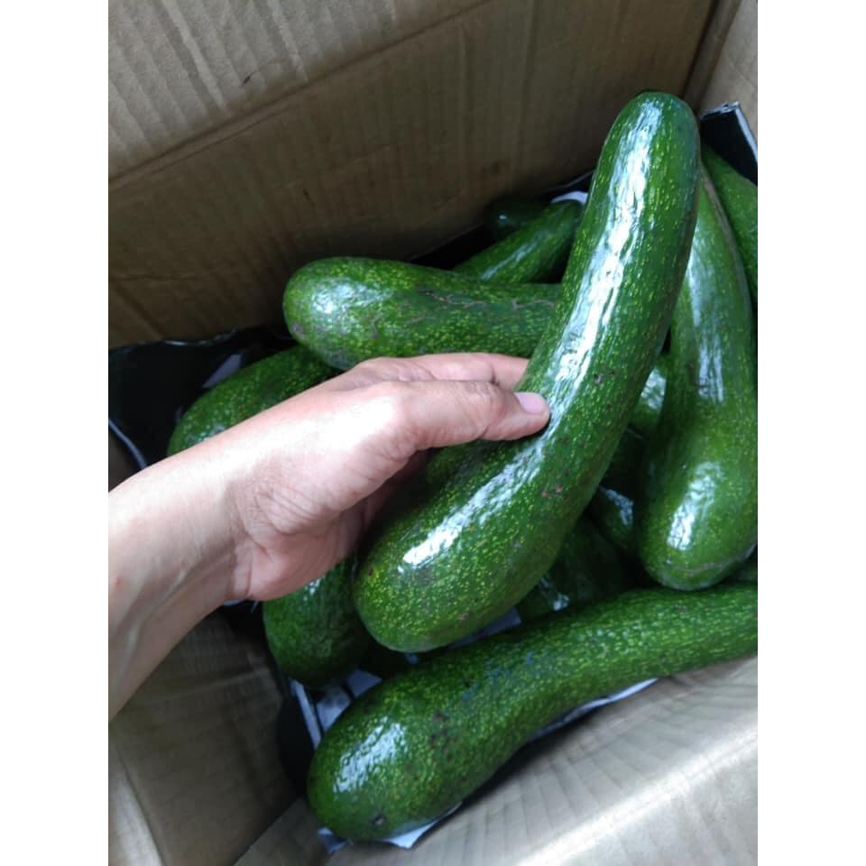 อโวคาโดนำเข้าA034 เกรดพรีเมี่ยม 2KG สุดยอดอะโวคาโด้ อร่อยมากคัดคุณภาพอย่างดี แก่จัดมัน เหนียว อร่อย