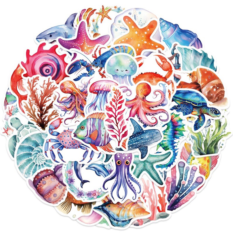 สติ๊กเกอร์ สัตว์ทะเล 797 ปลาดาว  50ชิ้น ปลาหมึกยักษ์ starfish ดาวทะเล ปลาฉลาม ปลาหมึก Sticker Octopus Squid สัตว์น้ำ