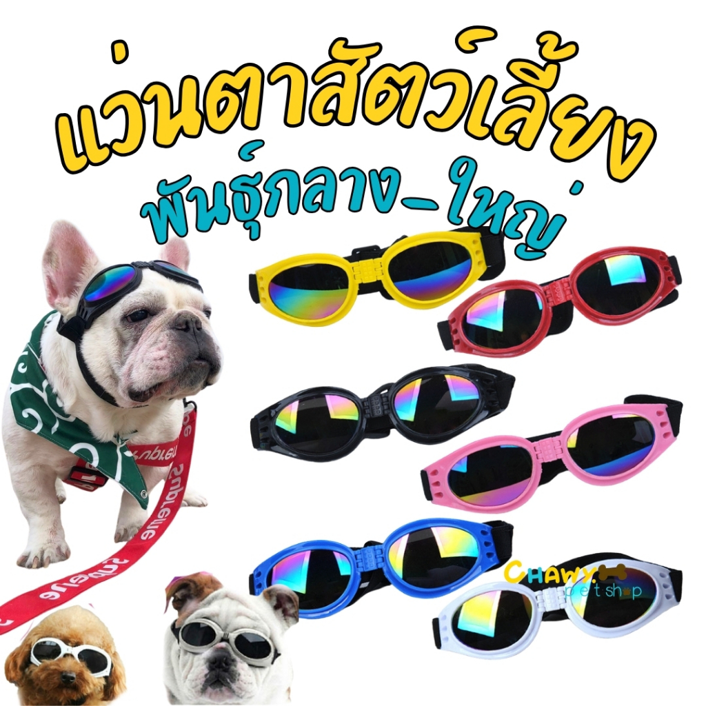 แว่นตาสุนัขสุดเท่ห์ สุนัขกลาง-ใหญ่