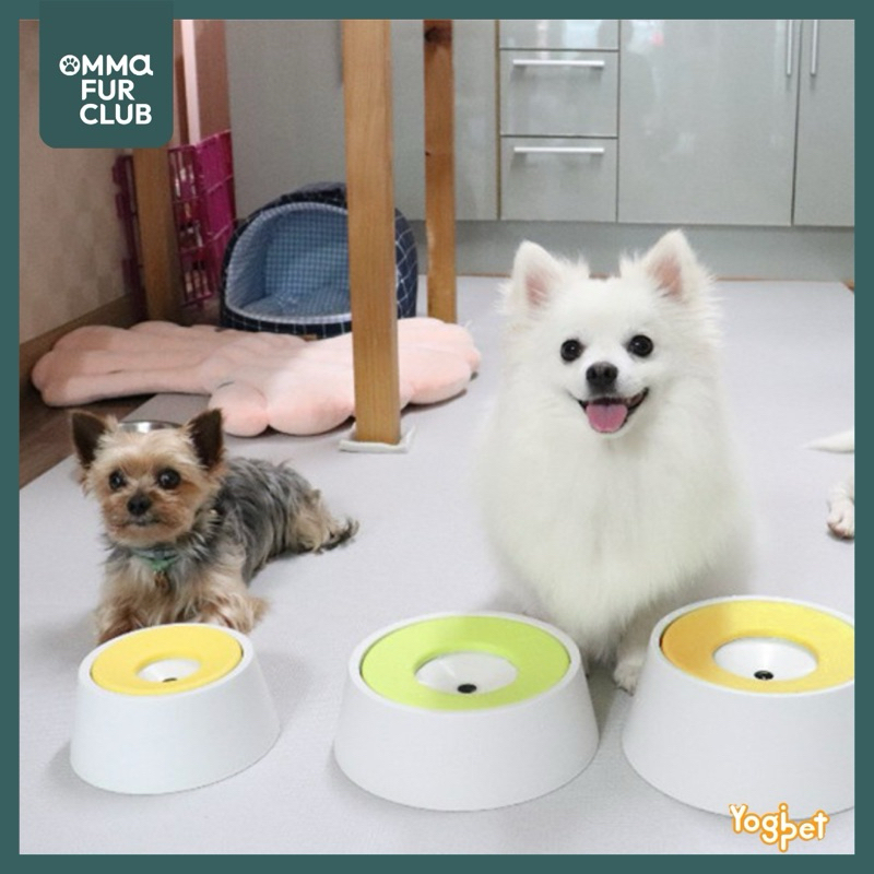 [พร้อมส่งในไทย] ชามน้ำสัตว์เลี้ยง ไม่ทำให้หน้าเปียกเลอะ Water Floating Bowl 300mL by OFC🐾 นำเข้าจากเกาหลี🇰🇷 - รูปที่ 5