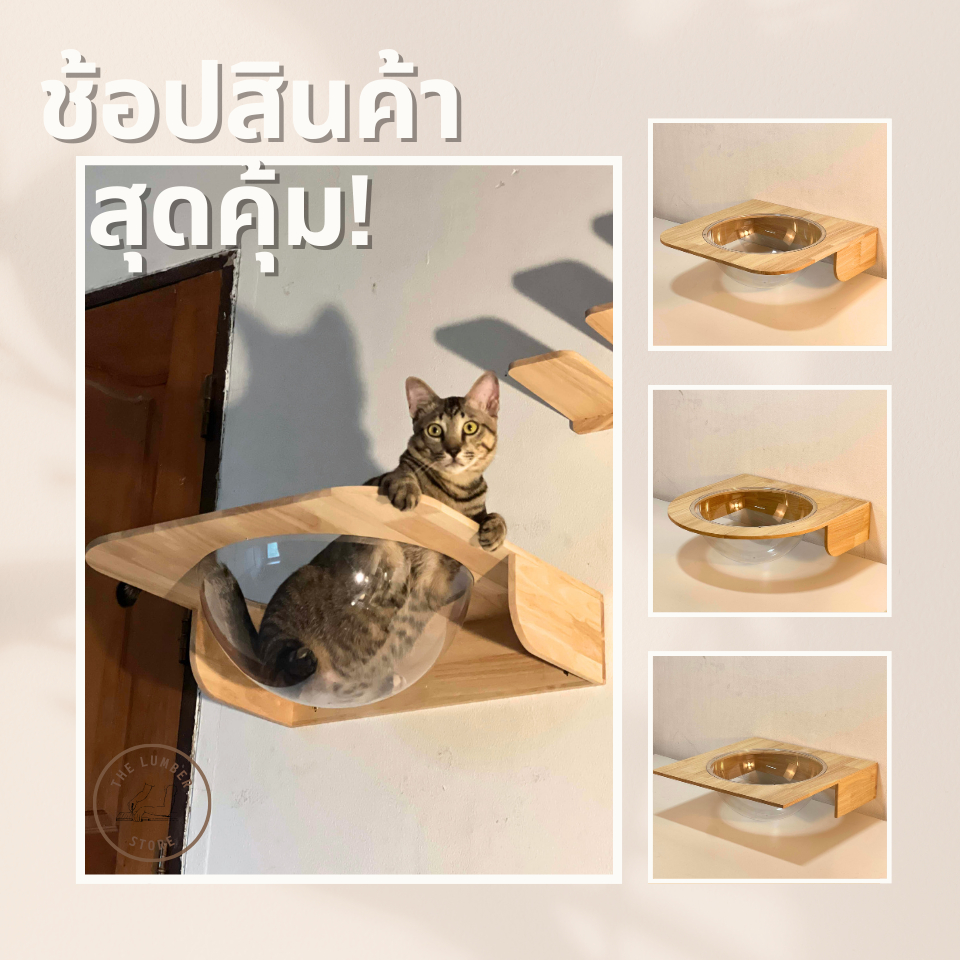 หลุมแมว ที่นอนนอนแมวติดผนัง พร้อมหลุมใสอะคริลิค สำหรับแมวตัวใหญ่น้ำหนักไม่เกิน 10kg ไม้พารา มินิมอล THE LUMBER