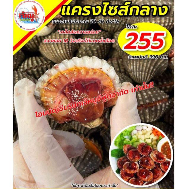 หอยแครงไซส์รวม 30-40 ตัว/โล