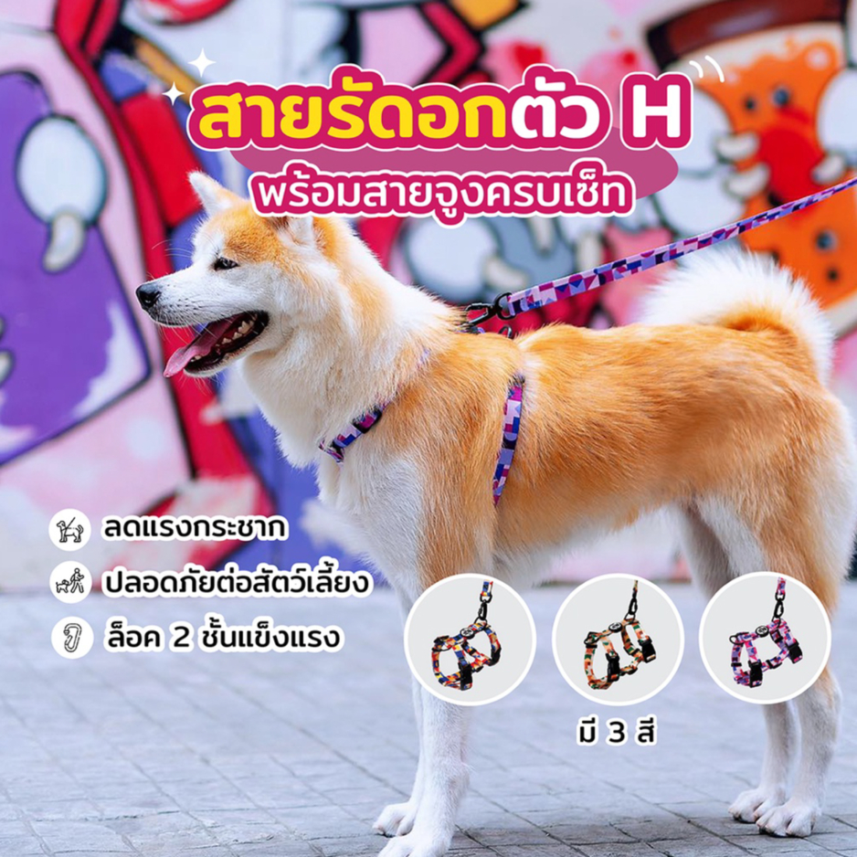 [สินค้าราคาพิเศษ] เซ็ทสายรัดอก พร้อมสายจูง Clawset Run Run | CLAWSET.BKK