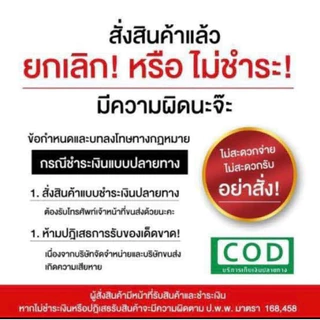 วีลแชร์สำหรับสุนัขพันธุ์ใหญ่