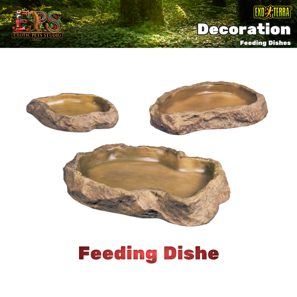 Exo Terra Feeding Dishes จานใส่อาหาร (M / L / XL)