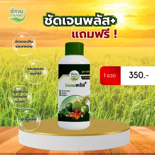 ชัดเจนพลัส ฮิวมิกฟูวิคมีสาหร่ายอะมิโน ใช้ได้ทุกพืชเกษตรกรมั่นใจ ข้าวเขียว แตกรากแตกกอได้ดี ทนทุกสภาพอากาศ