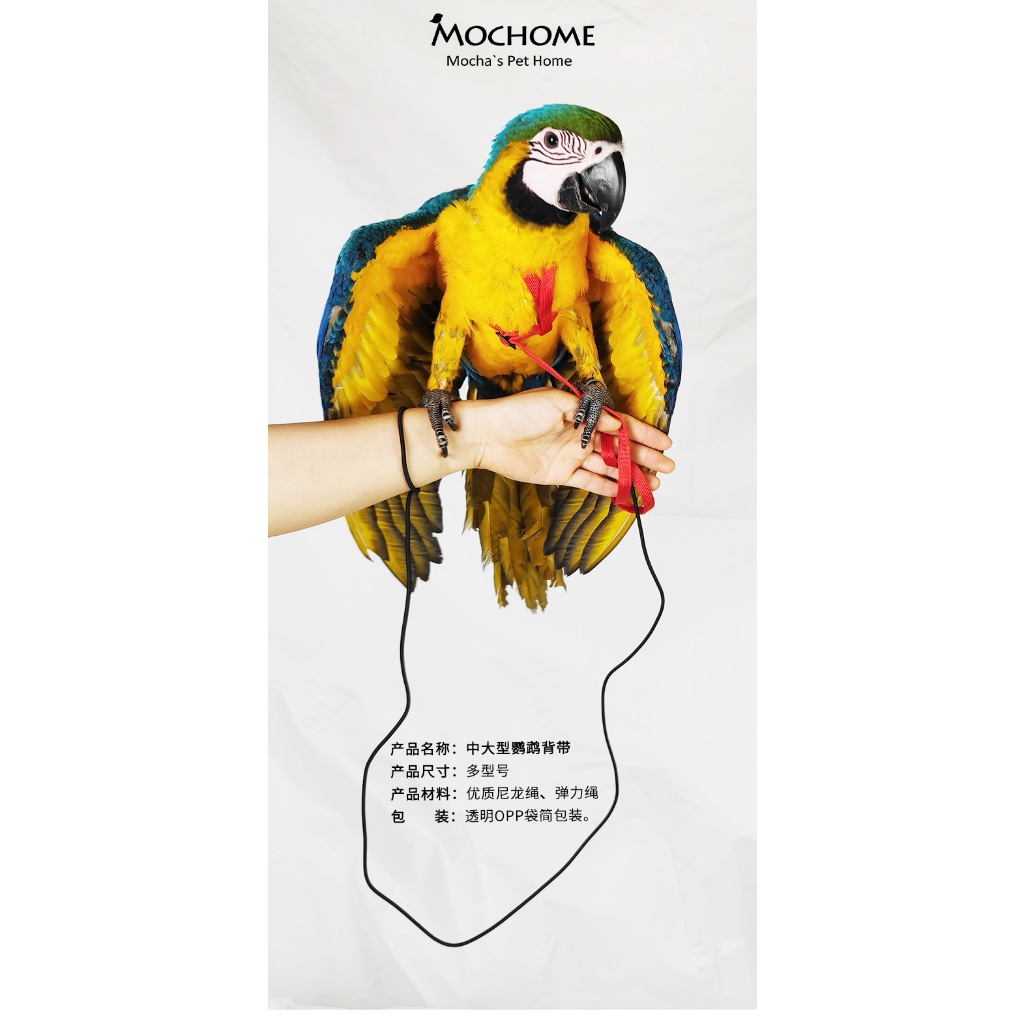 MOCHOME Bird Harness Adjustable เชือกจูงสัตว์เลี้ยง แบบนิ่ม ปรับได้ กันกัด ฝึกบิน สําหรับนก นกแก้ว parrot เอี๊ยมนก เชือก รูปที่ 4