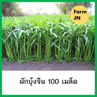 เมล็ดผักบุ้งจีน เมล็ดผักสวนครัว เมล็ดผัก5บาท