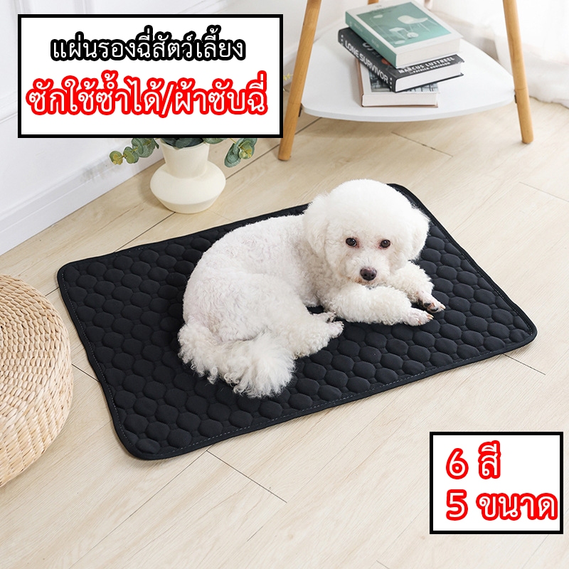 แผ่นรองฉี่สัตว์เลี้ยง ซักใช้ซ้ำได้ ผ้าซับฉี่ ผ้ารองฉี่หมา เเมว กระต่าย เมเปิ้ล maple สุนัข คลุมเบาะ ซึมซับได้ดี มีกันลื่