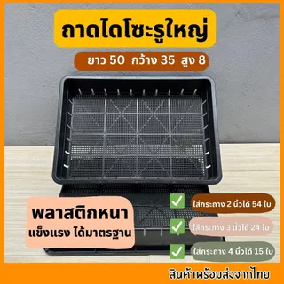 ถาดไดโซะ ถาดทึบ ถาดรู ถูกที่สุด