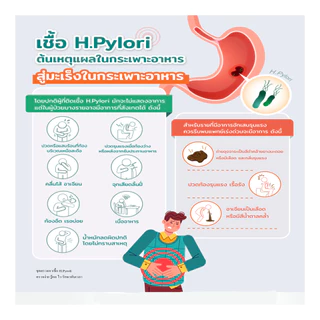 ชุดตรวจหาการติดเชื้อ H.pyroli เพื่อคัดกรองความเสี่ยง มะเร็งกระเพาะอาหาร เบื้องต้น อย65-2-2-1-0006056