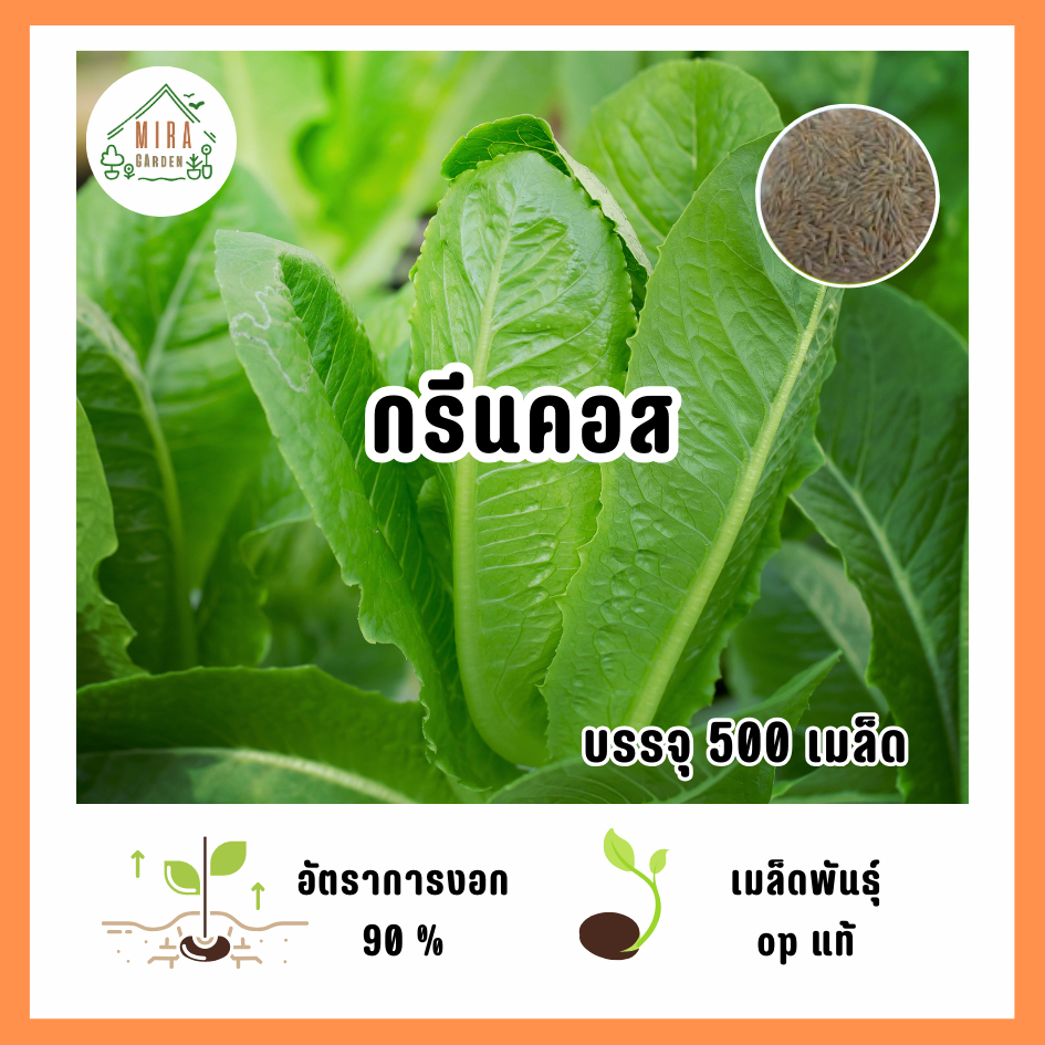 เมล็ดพันธุ์ กรีนคอส บรรจุ 500 เมล็ด