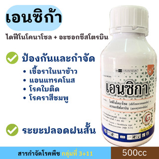 เอนซิก้า 500ซีซี ( ไดฟีโนโคนาโซล + อะซอกซีสโตรบิน ) ป้องกันแ…