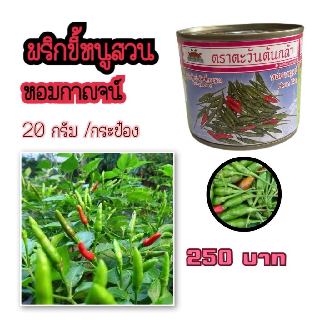 พริกขี้หนูสวน หอมกาญจน์ ขนาด 20กรัม/กระป๋อง