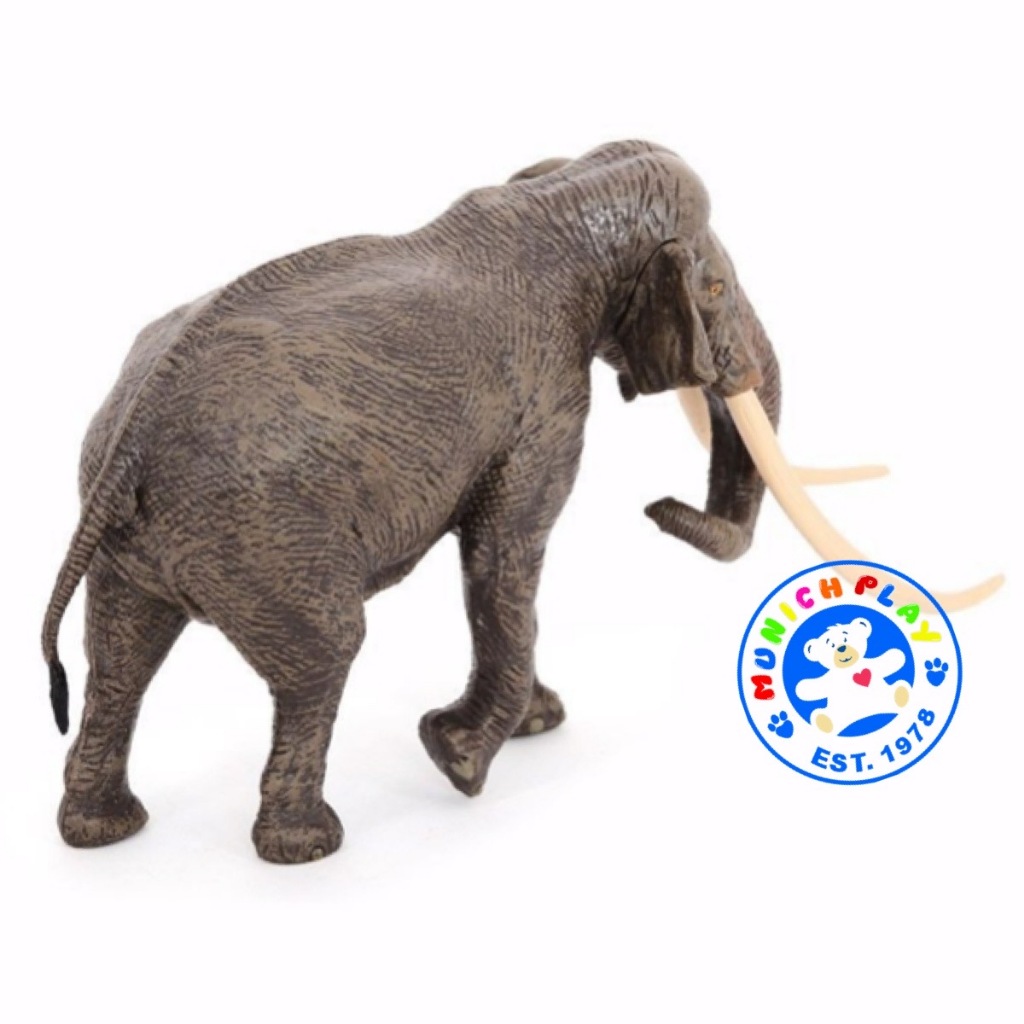 Munich Play โมเดลสัตว์ Elephant ช้าง เอเชีย ขนาด 23.20 CM (จากหาดใหญ่) ราคา ถูกที่สุด ดีลบีเคเค แกลเลอรีภาพที่ 3