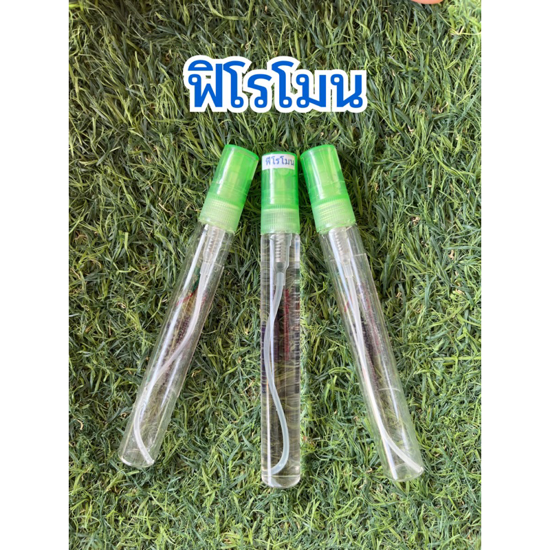 น้ำหอมกลิ่น ฟิโรโมน หอมนุ่มลึก กลิ่นชวนให้น่าติดตาม