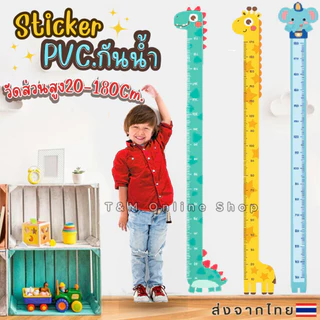 สติ๊กเกอร์วัดส่วนสูง PVC.กันน้ำ สติ๊กเกอร์ติดผนัง Wall Sticker ที่วัดส่วนสูงเด็ก 180 Cm. ส่งจากไทย ส่งภายใน1วัน