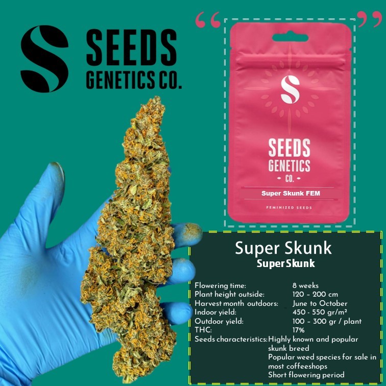 เมล็ด Super Skunk - Seeds Genetics