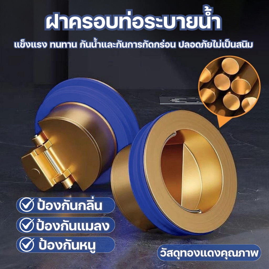 🪰ฝาท่อระบายน้ำสำหรับพื้นห้องครัว ห้องน้ำ ป้องกันกลิ่น ทองเหลืองกันแมลง - รวมปะเก็น🪰