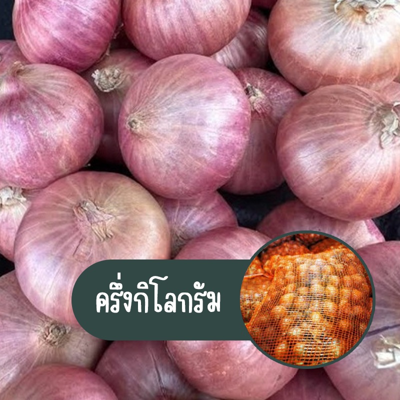 หอมแขกพม่า หัวใหญ่ เนื้อแน่น คัดเกรด A ครึ่งกิโลกรัม 39 บาท