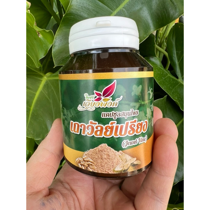 เถา_วัลย์_เปรียง Jewel vine ขนาด60และ100