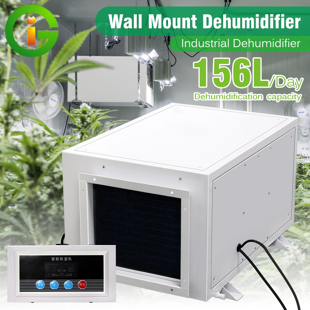156L dehumidifier เครื่องดูดความชื้น เครื่องลดความชื้น ลดความชื้น ประหยัดพลังงาน เสียงเบา ช่วยลดความชื้นห้องปลูกภายใน15