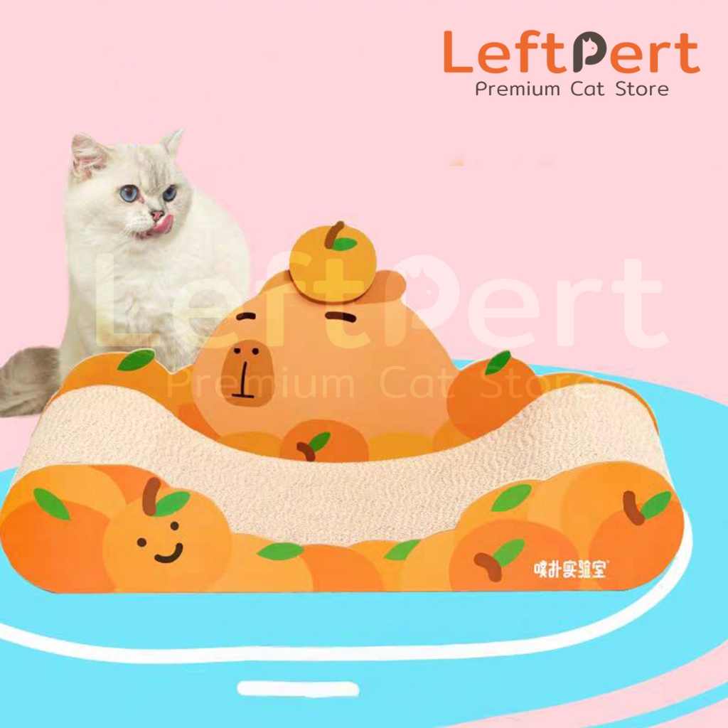 Purlab Orange ที่ลับเล็บแมวและที่นอนแมวรูปส้ม