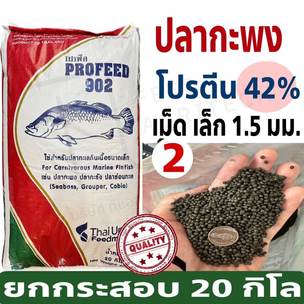 ProFeed อาหารปลากระพง ปลากินเนื้อ โปรฟีด โปรตีน 42% อาหารปลาทะเล > 902 < ( ยกกระสอบ 20 กก. )