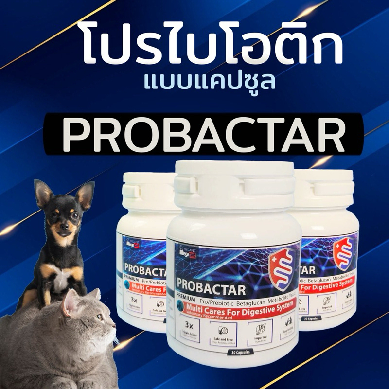 โปรไบโอติก ชนิดแคปซูล Probactar บรรจุ 30 เม็ด  บรรเทาอาการท้องเสีย ลดอาการท้องผูก