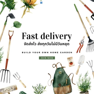 เมล็ดผักมะเขือเปราะ เมล็ดผักสวนครัว เมล็ดผัก5บาท