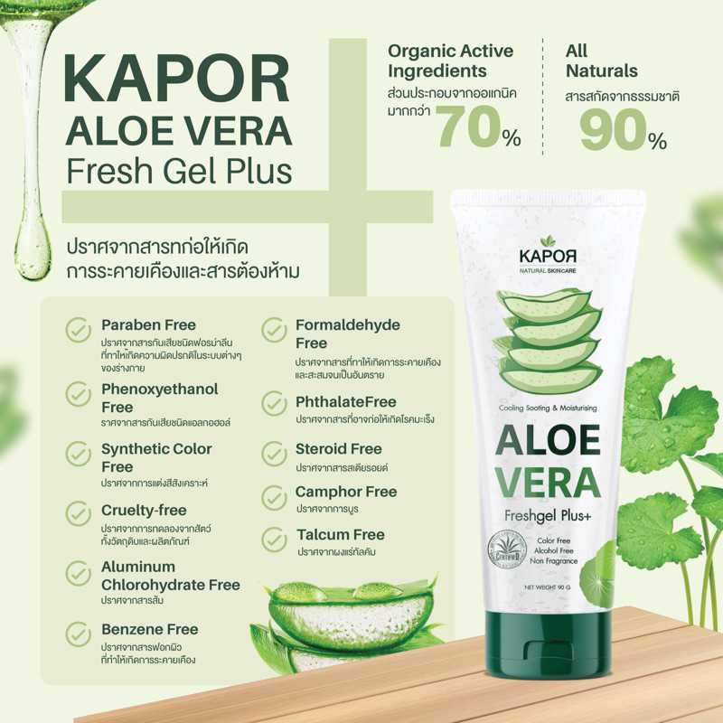 KAPOR เจลว่านหางจระเข้ สูตรลดสิว ลดรอย ฟื้นฟูผิวติดสาร