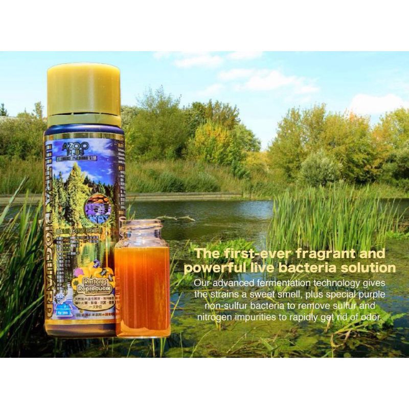 AZOO ULTRA BIOGUARD #Azoo ฝาทอง แบคที่เรียชนิดน้ำสูตรเข้มข้นพิเศษ สำหรับตู้ปลา ตู้ไม้น้ำ