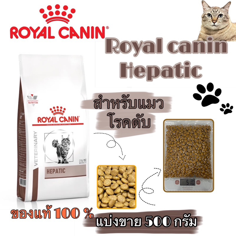 (แบ่งขาย)อาหารแมวรักษาโรคตับ Royal canin Hepatic ชนิดเม็ด
